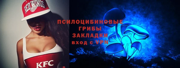 шишки Покров