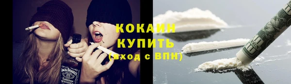 шишки Покров