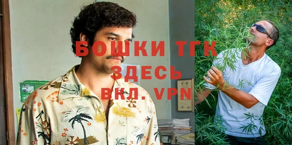 дмт Переславль-Залесский