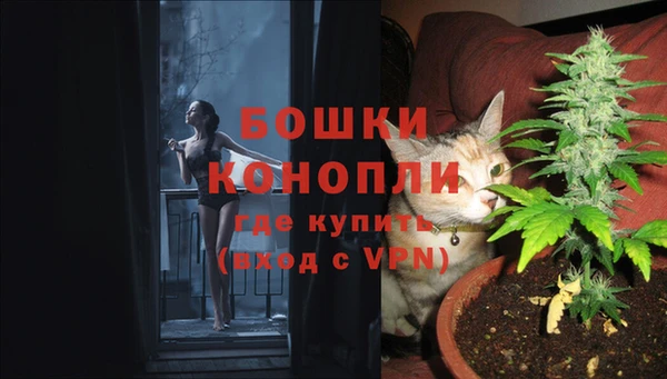 эйфоретик Гатчина