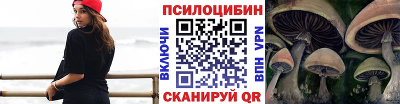 наркошоп  Алагир  Псилоцибиновые грибы ЛСД 
